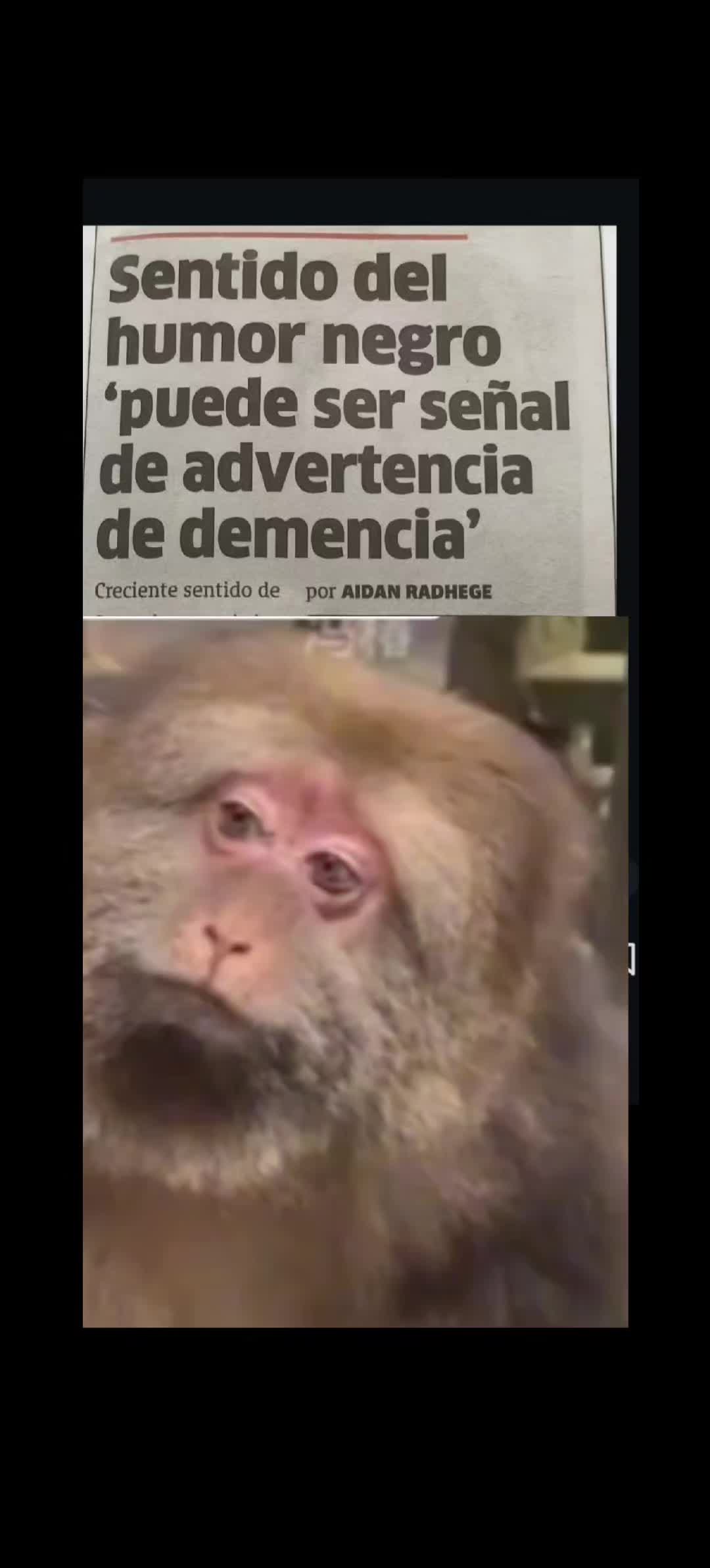 @Jacke Cereza