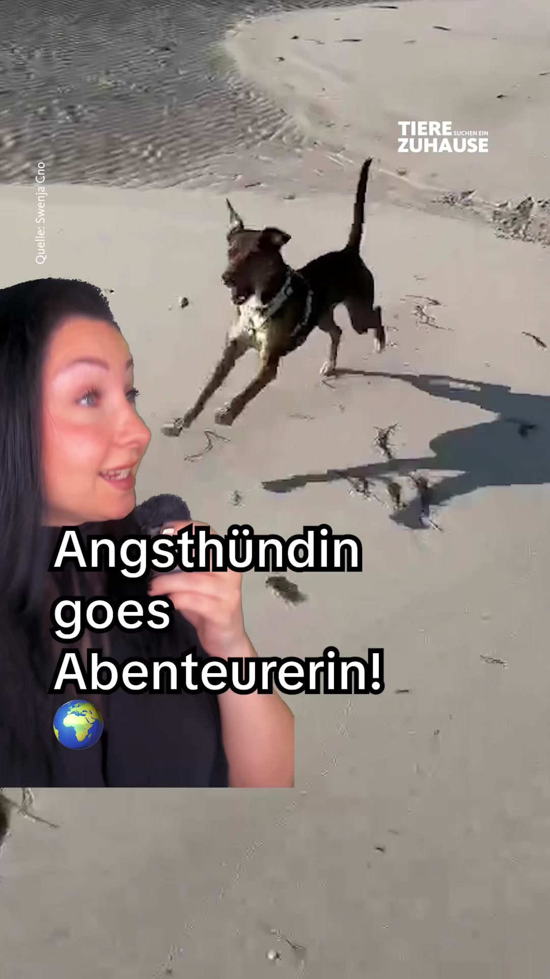 @Tiere suchen ein Zuhause