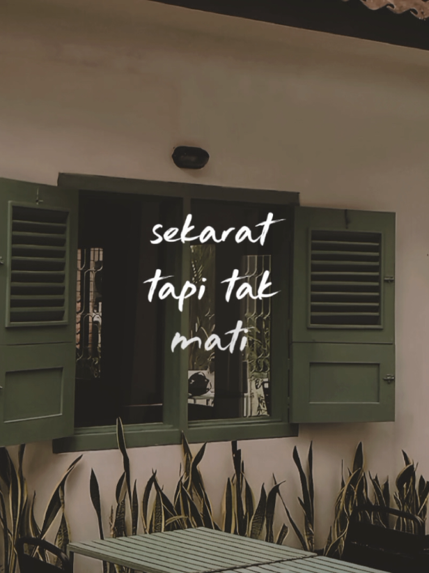 @myexpectation