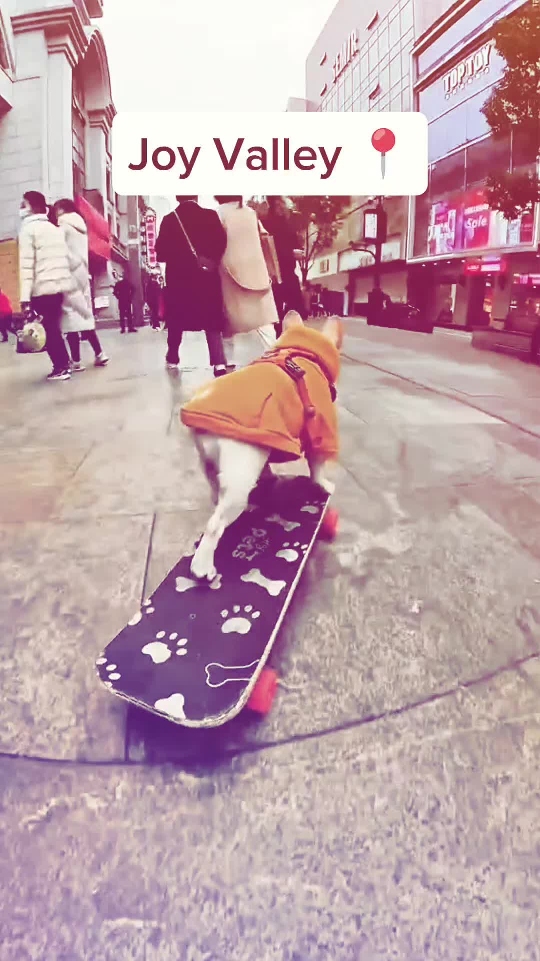 @JojoTheCoolGuy