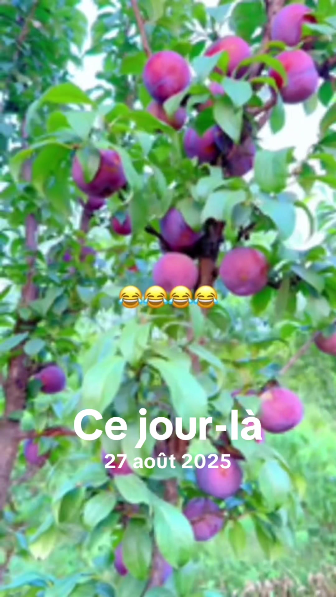 @Stéphanie