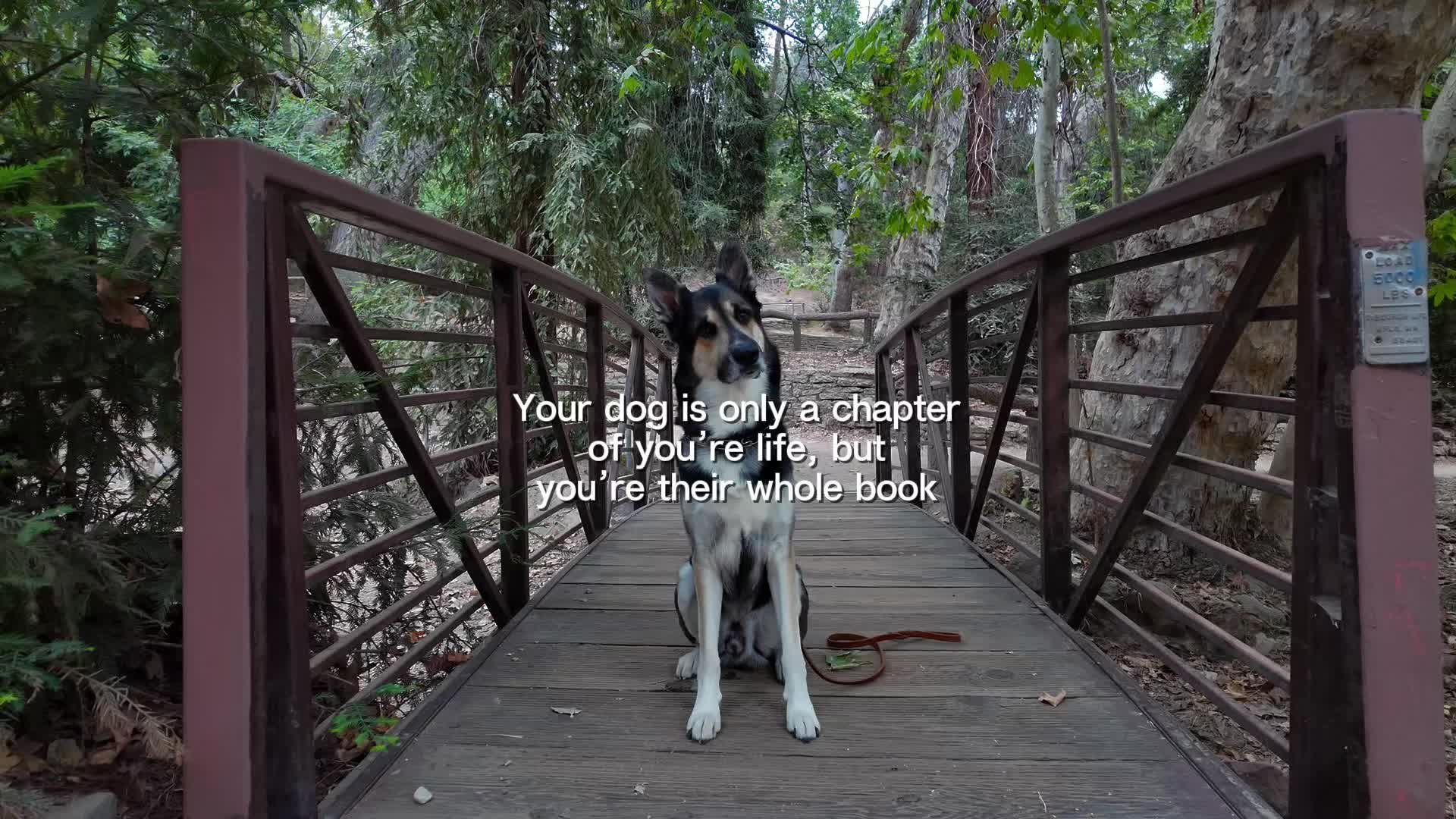 @Z