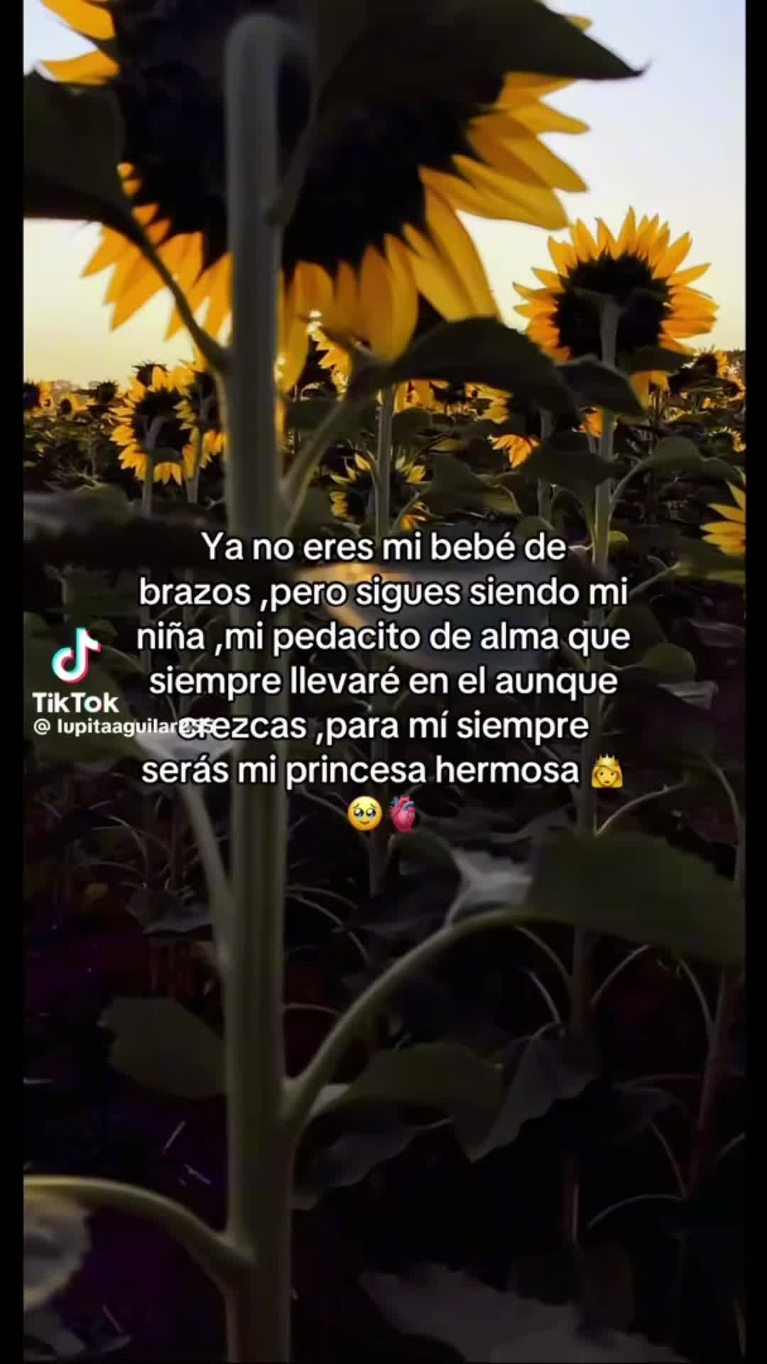@Carolina♈️👸🌻🦁
