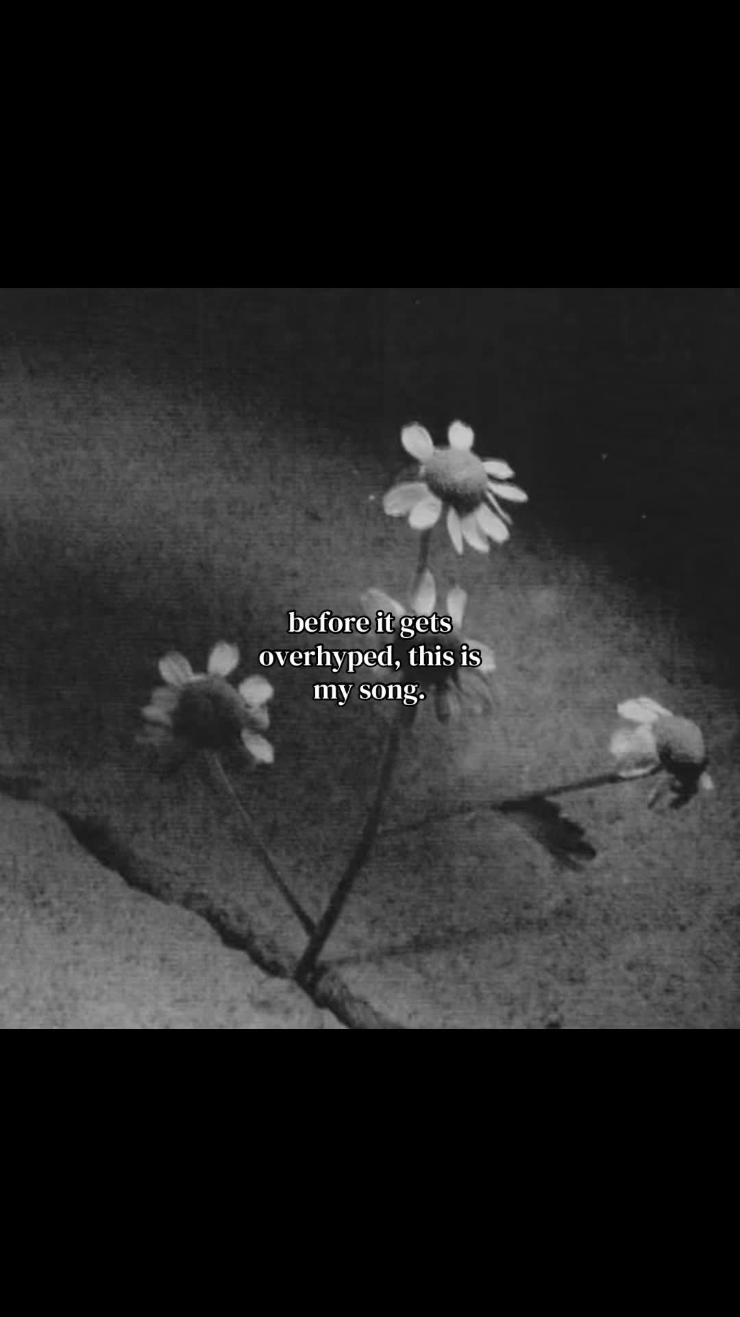 @m ꕤ｡˚