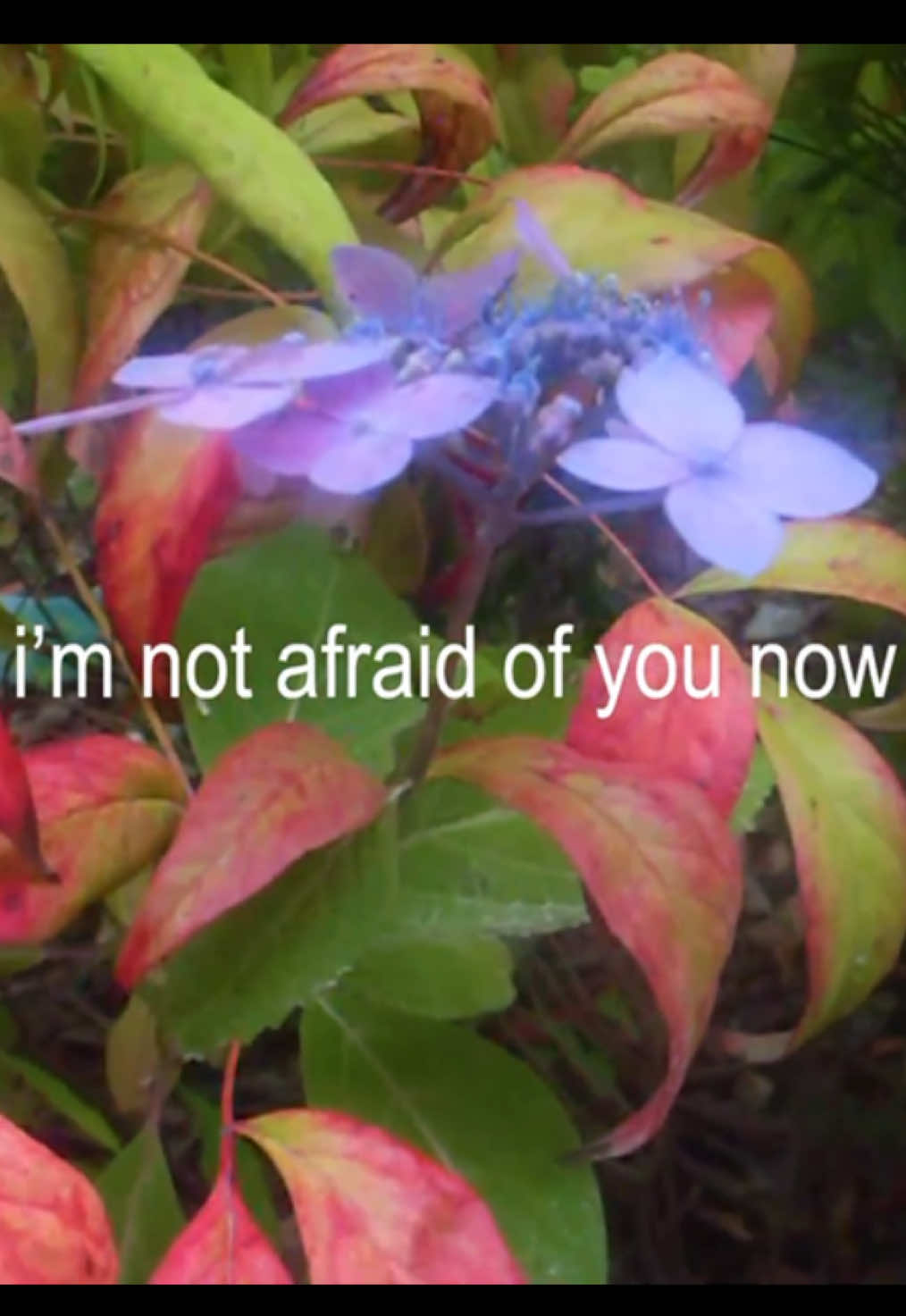 @ali🪲🐌🐞
