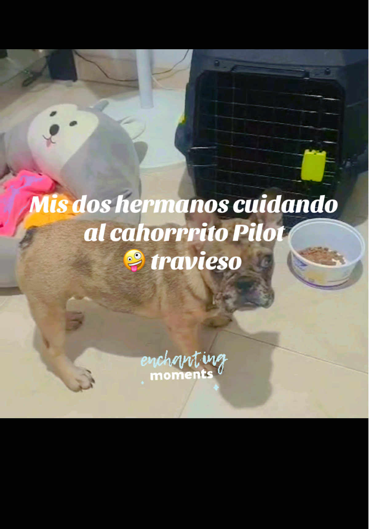 @dollylineth