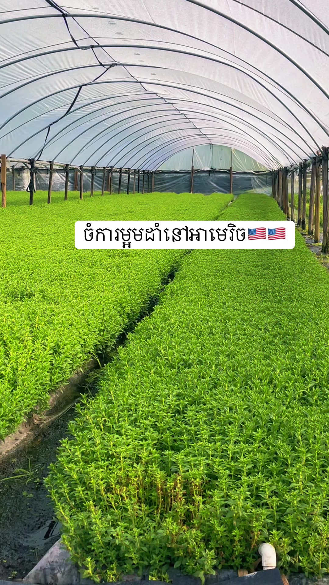 @N๐ฅ๐ฐ๐ญ๐บ๐ธ