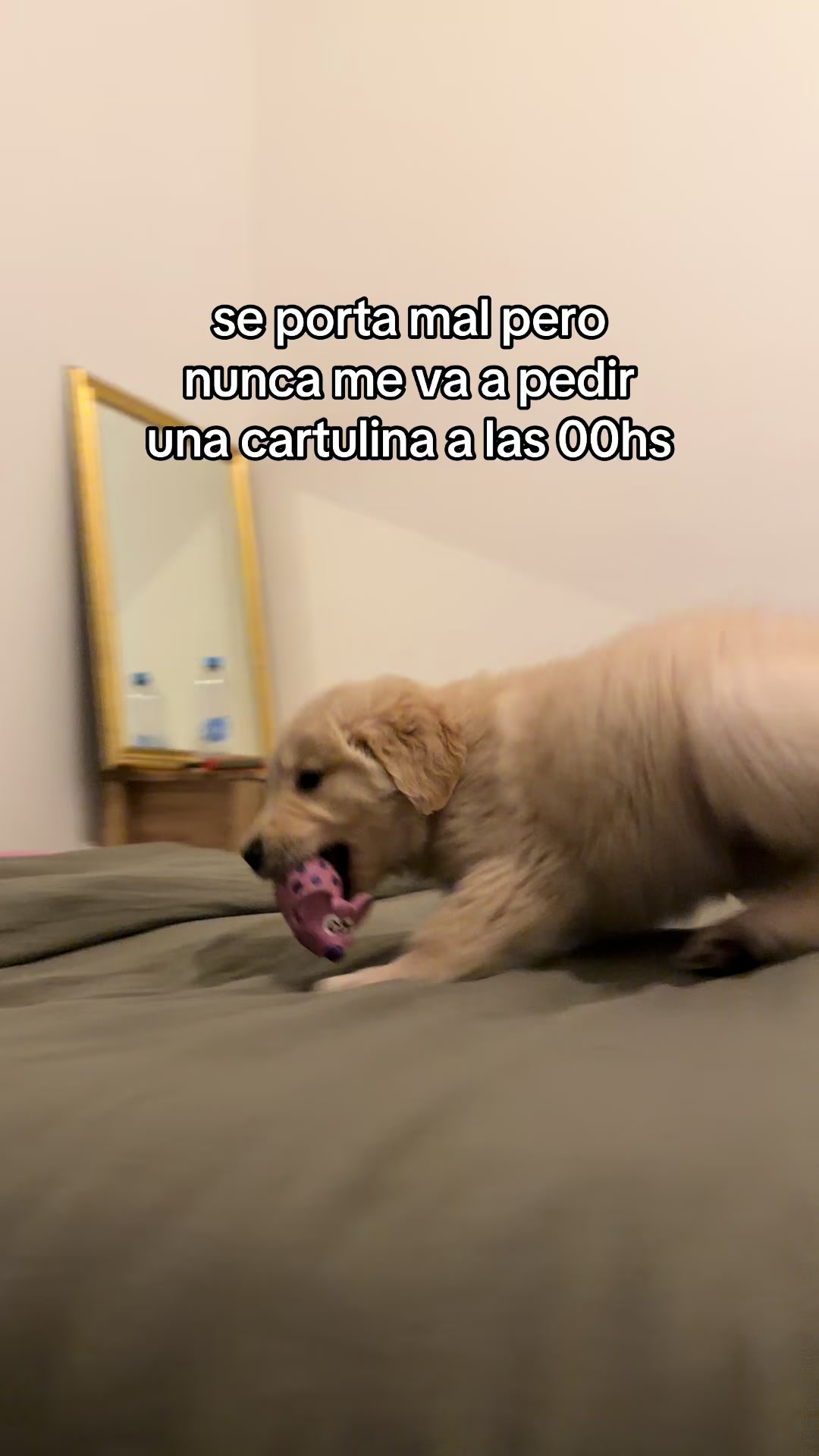 @Panchalagolden