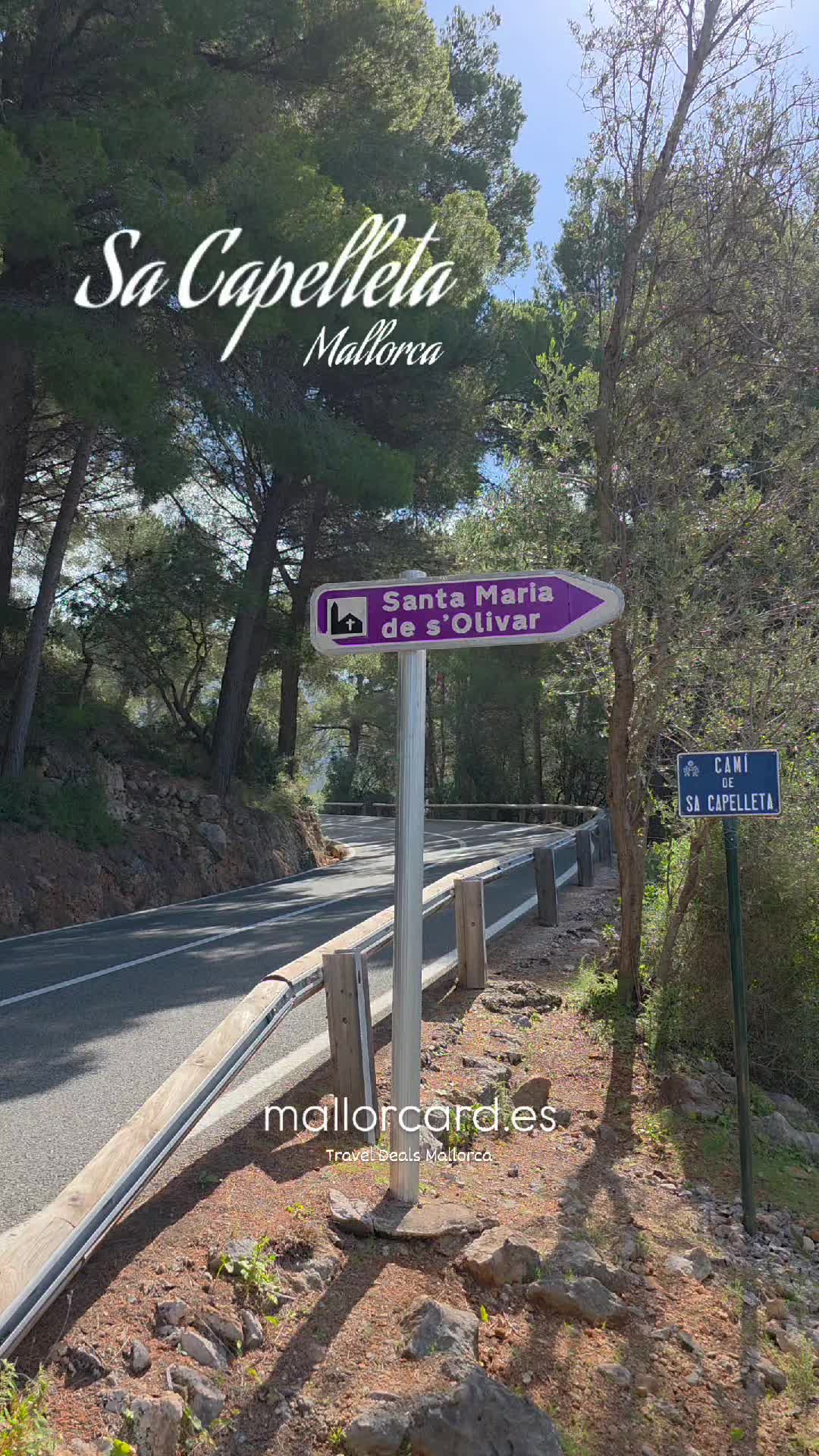 @Mallorca Insider mallorcard.es