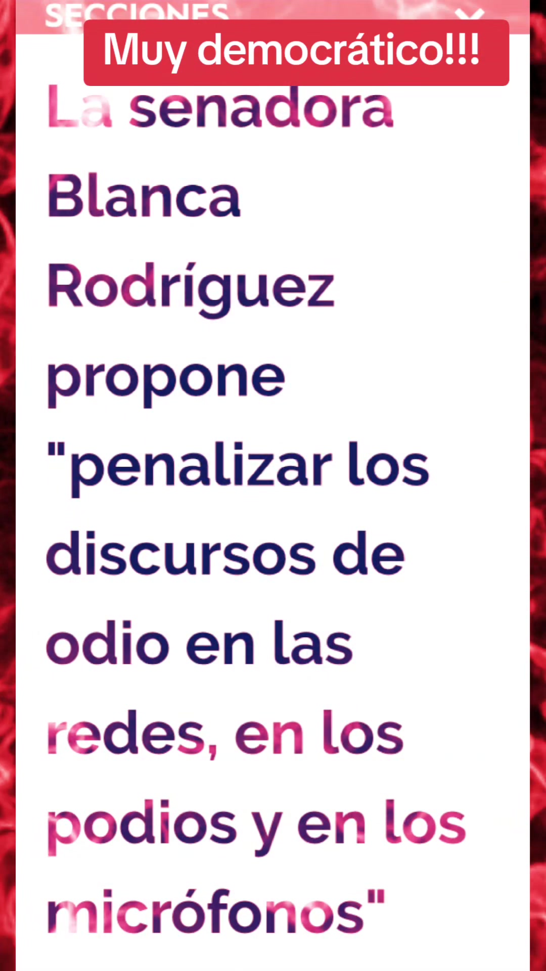 @Miguel.A.Astraldi