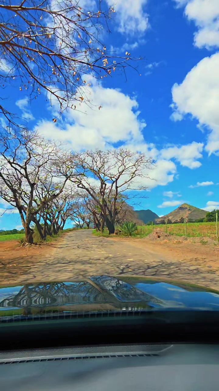 @Solo🇲🇺 🦤 🇲🇺