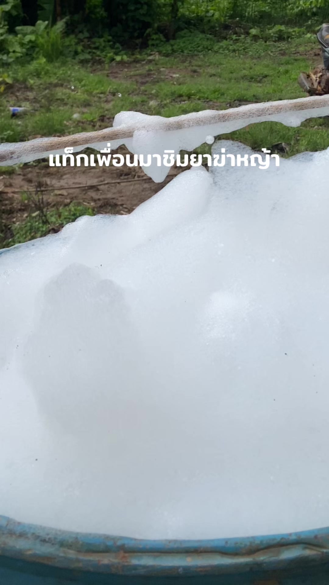 @ข้าวต้มมัด