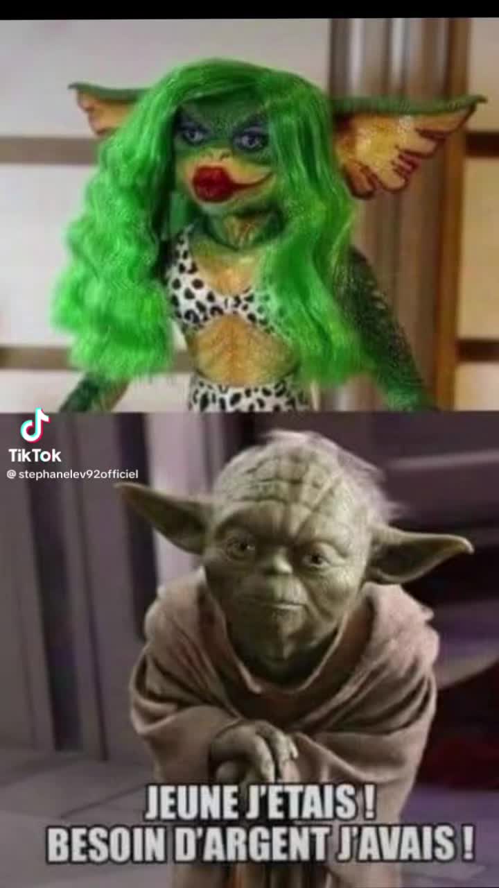 @stephanelevinternational