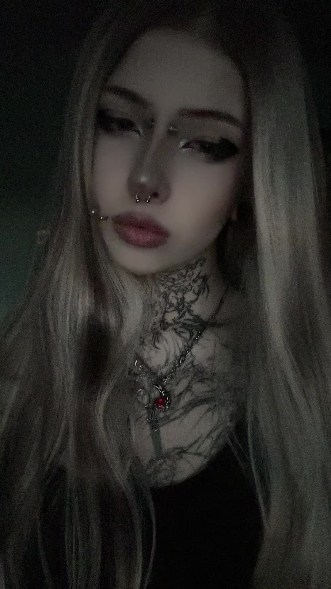@dark dynasty