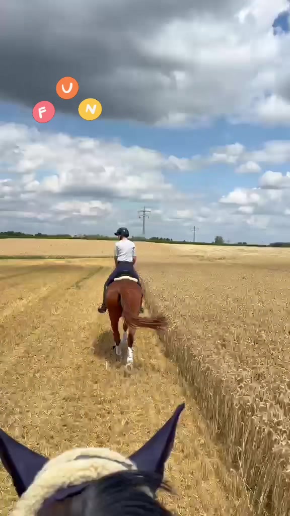 @Simbim & Friends 🐴🐕