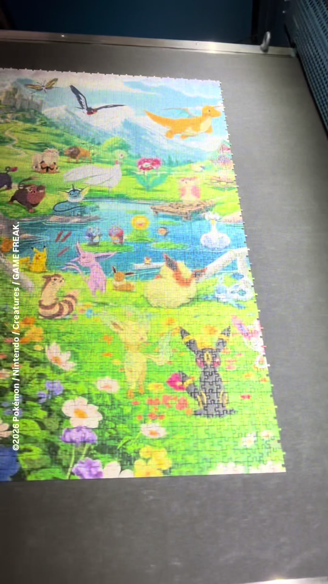 @ravensburgerde