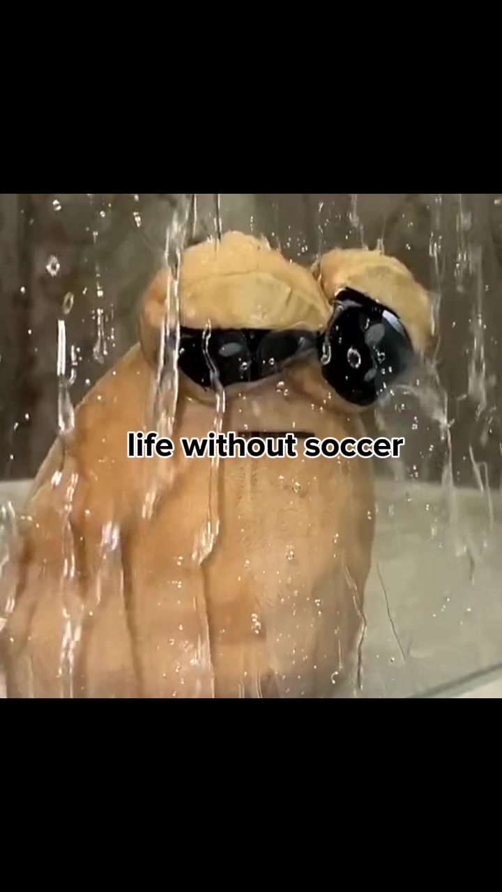 @Speedruner