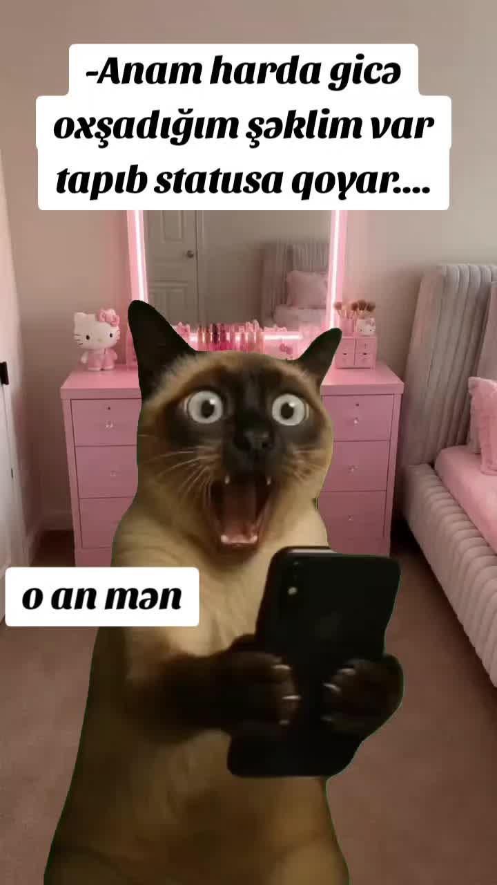 @ArzuMMooD♑