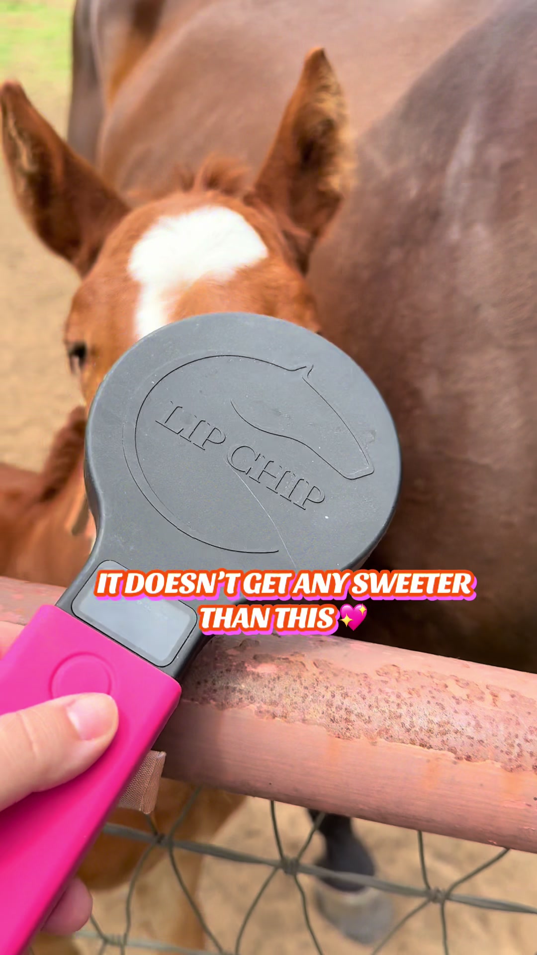 @Lip_ChipLLC