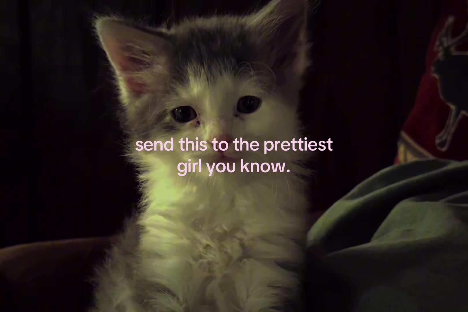 @sxalenz