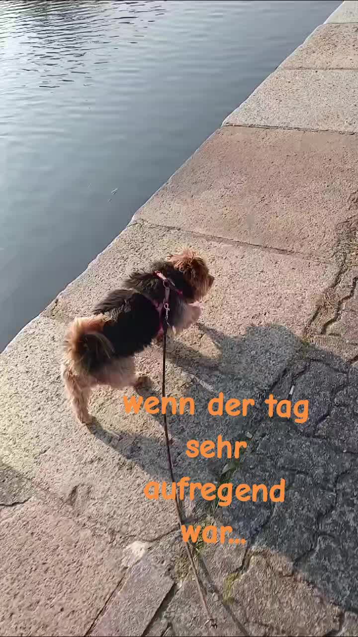 @Carina Schwarz876