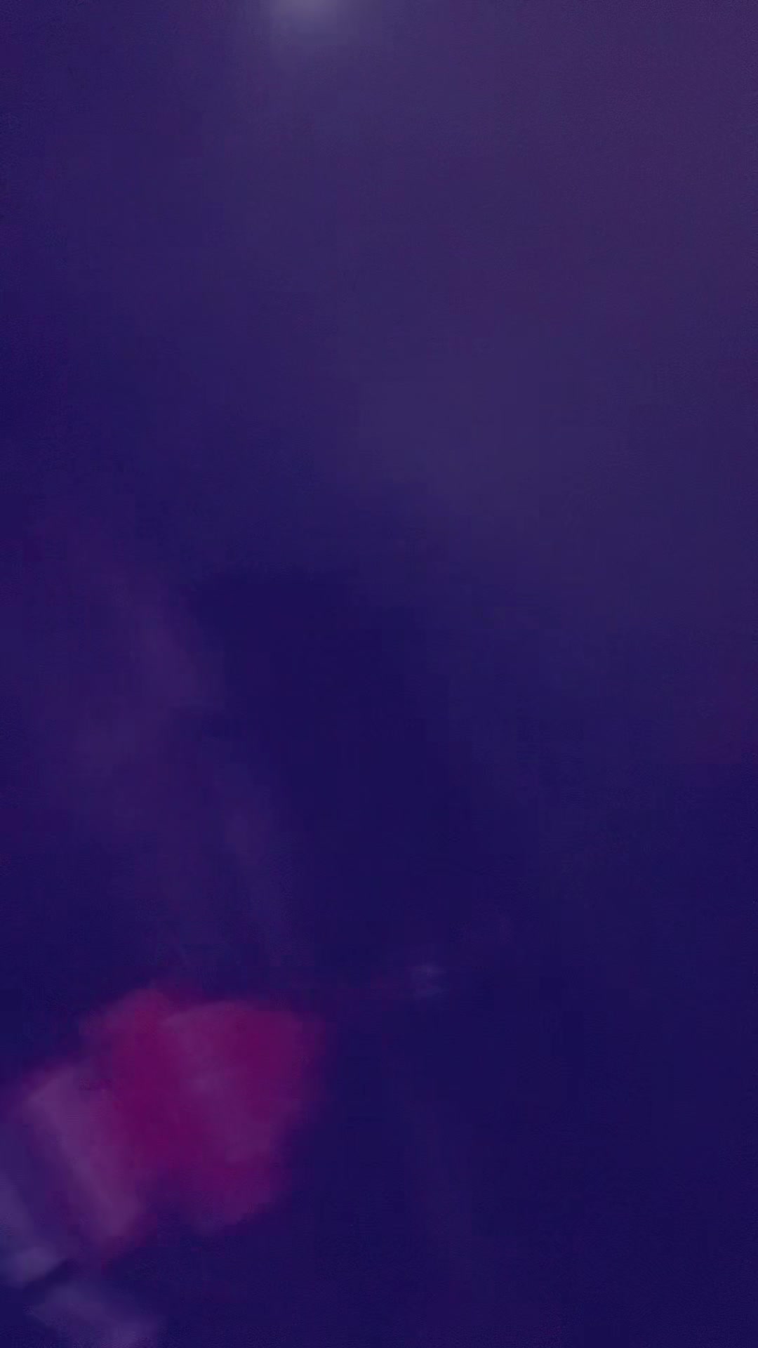 @devvvv