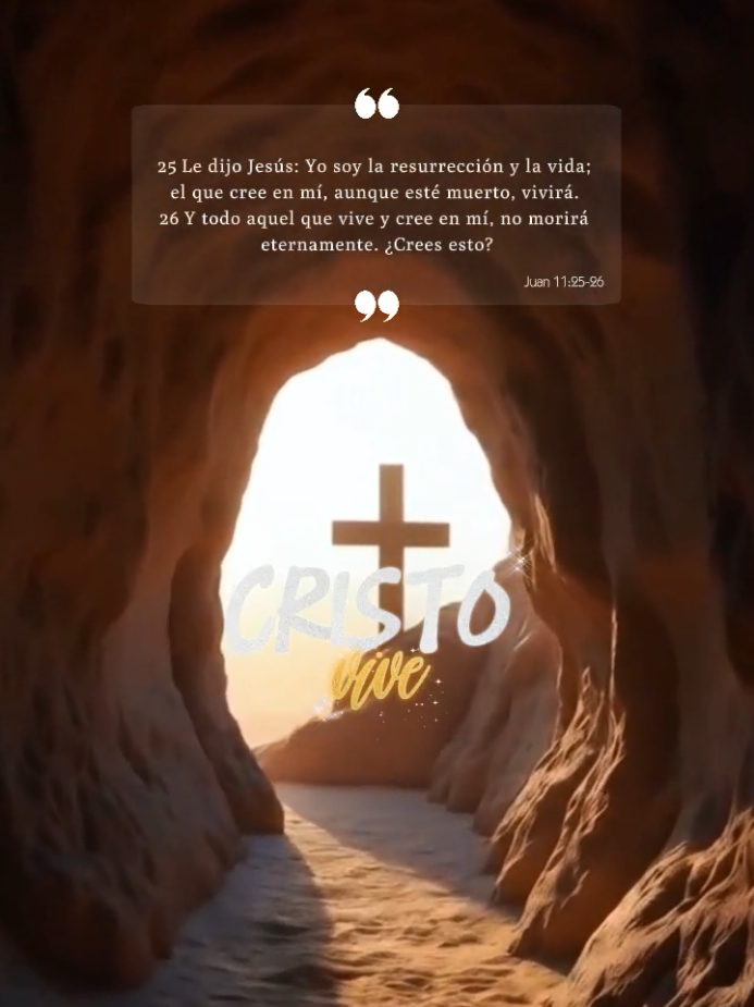 @Veronica Amor