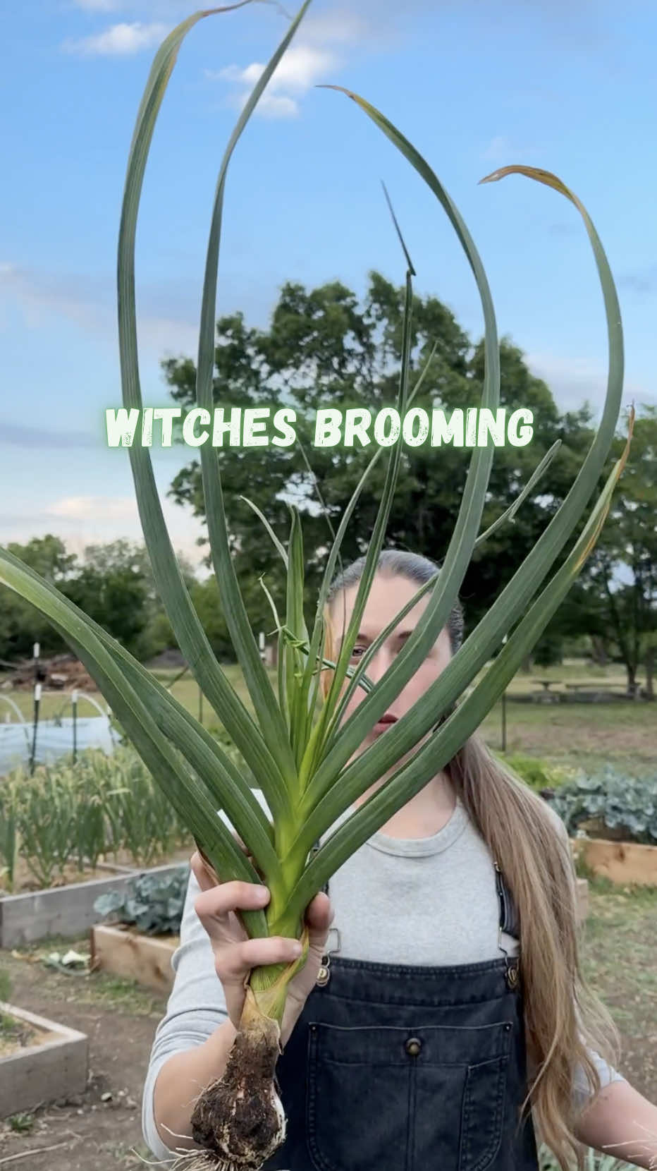 @Itsbreellis