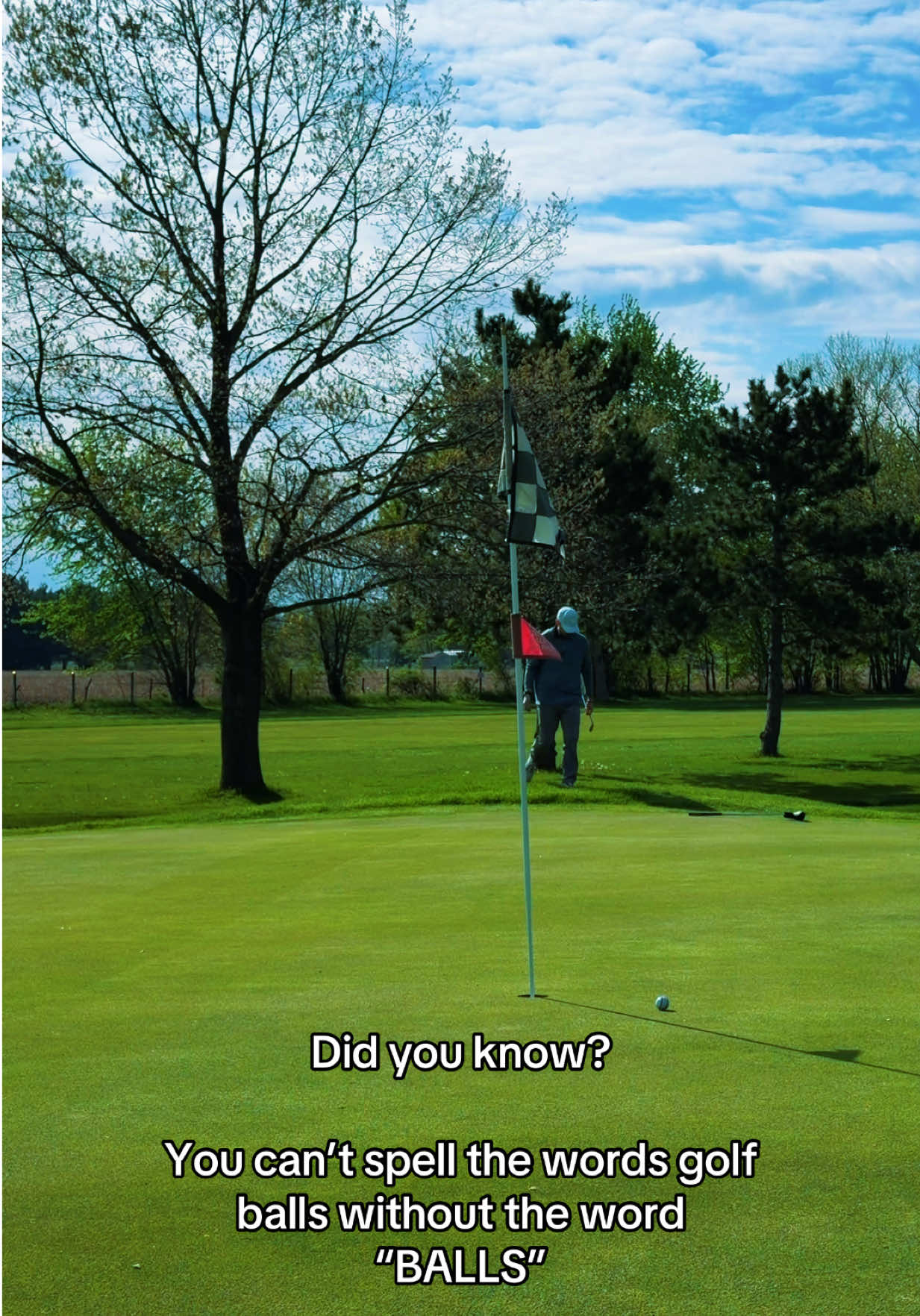 @BirdieVisionGolf