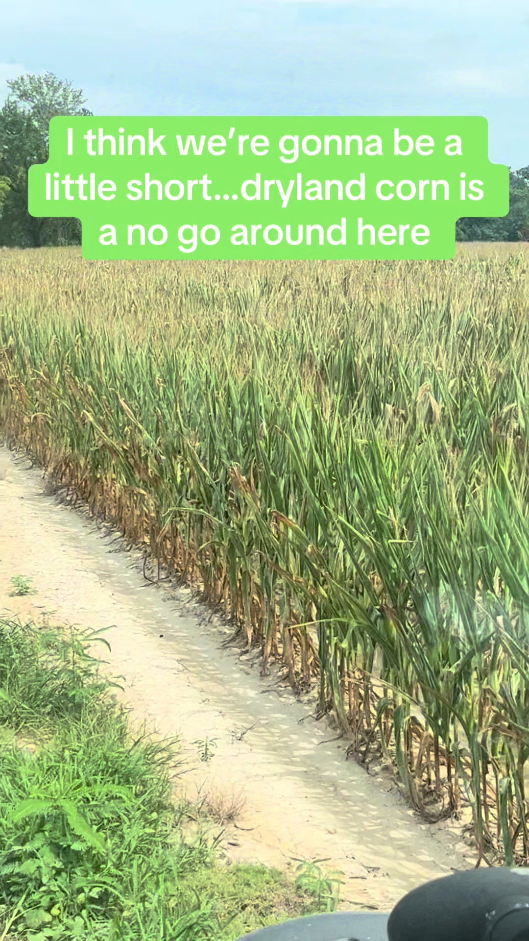 @hookfamilyfarms