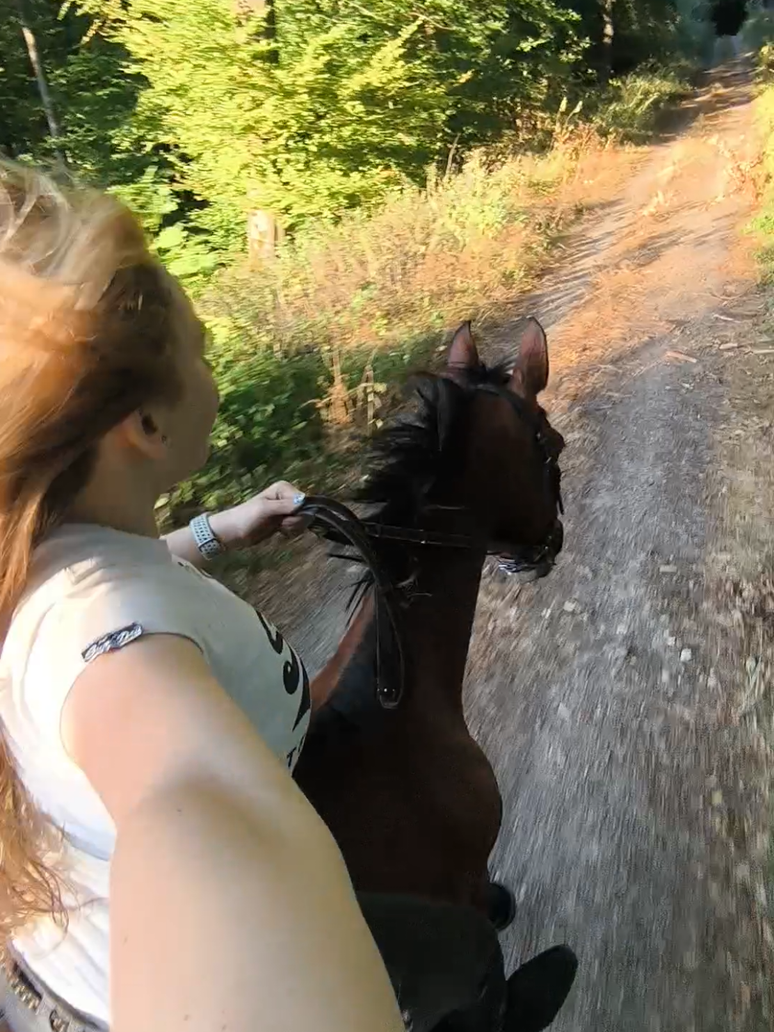 @Spring"Pony"Casha