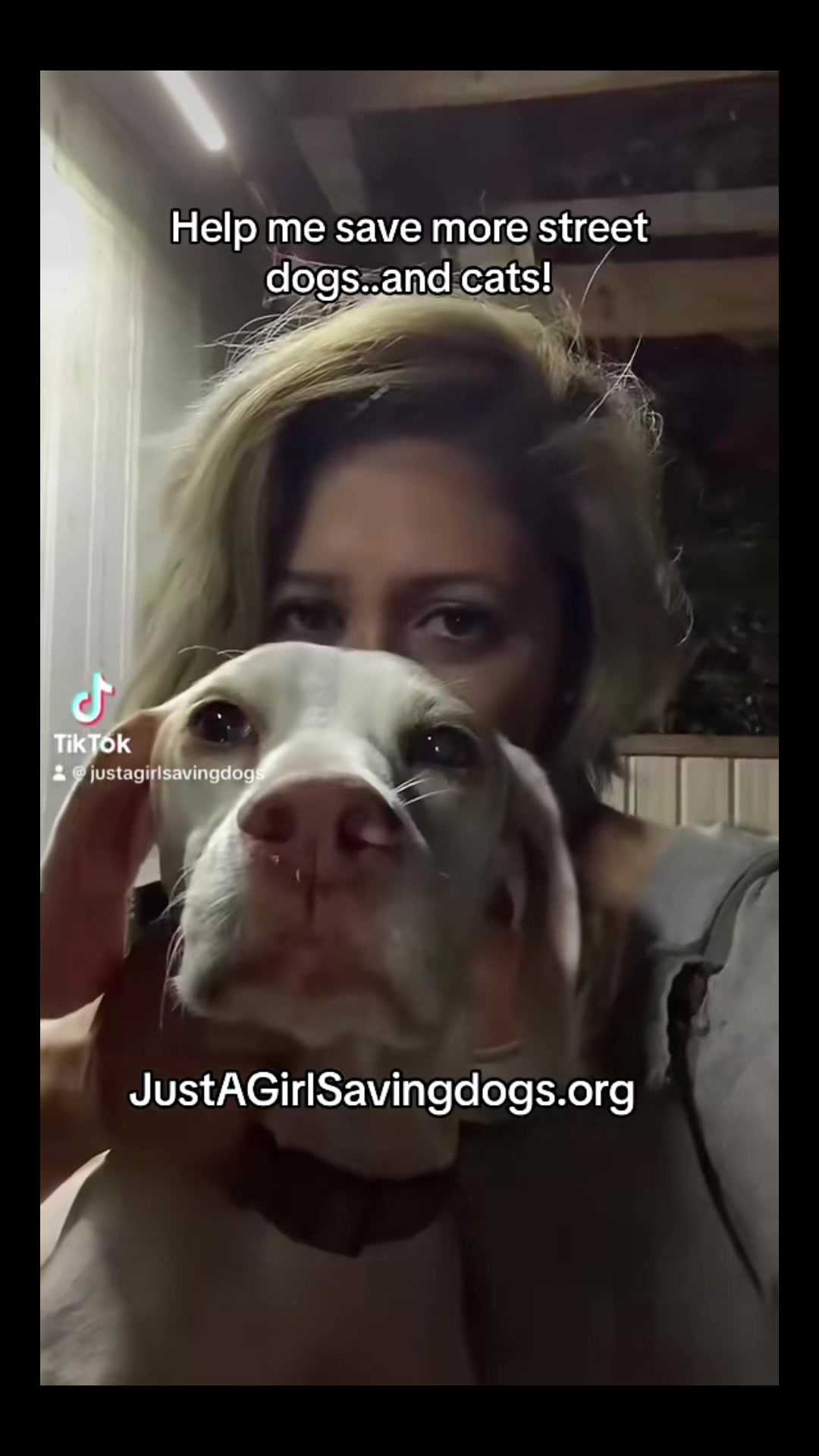 @Just A Girl Saving Dogs