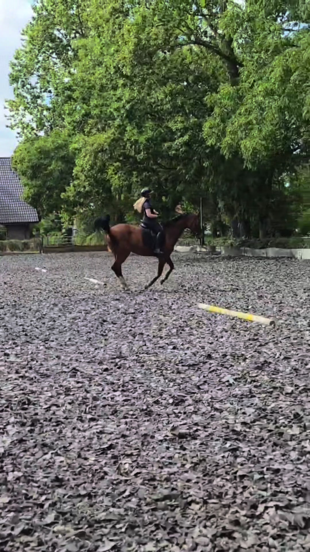 @laura_equestrian25