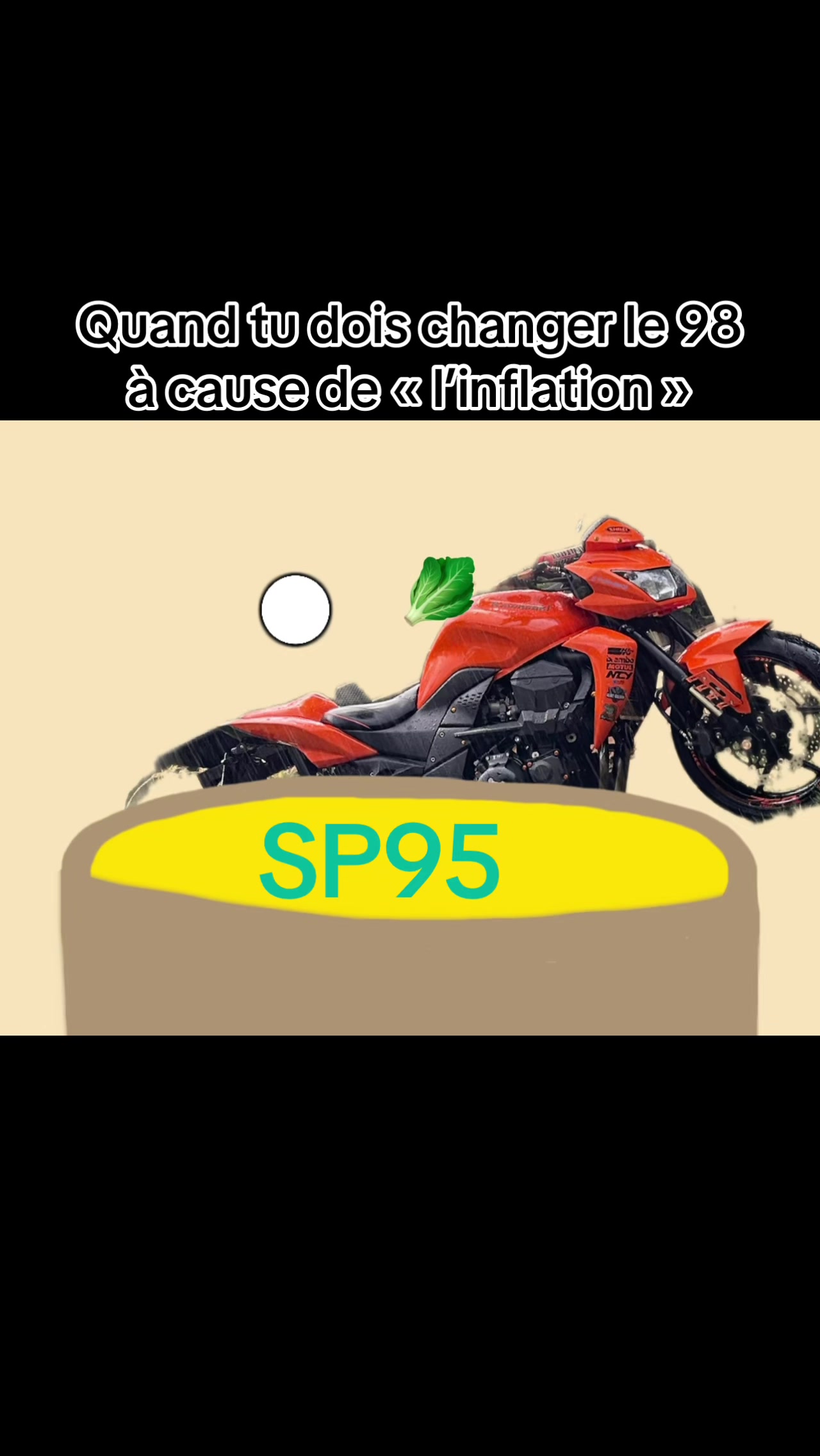 @๐๐๐๐๐๐ ๐ผ๐๐๐ฝ๐๐๐๐