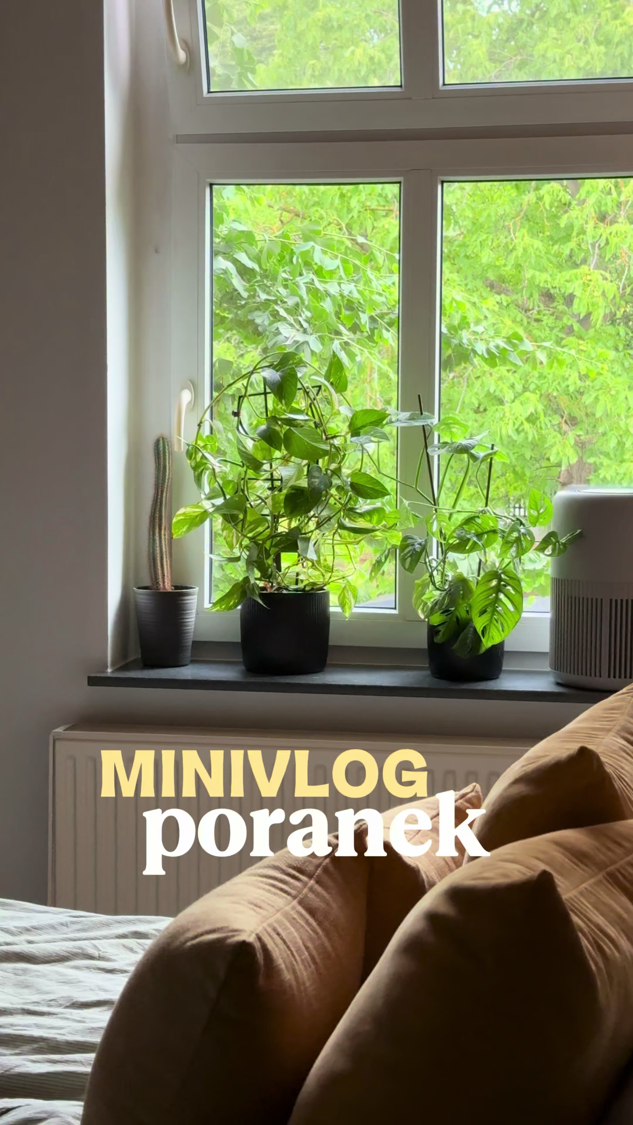 @crispynka organizuje 🏠💰🛒
