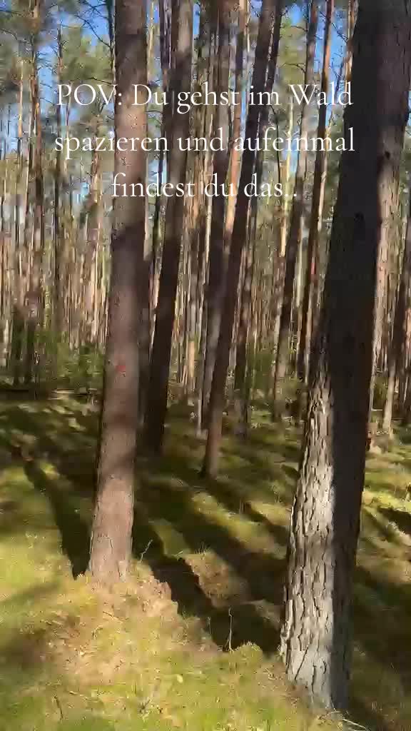 @Die Bunkerbastards