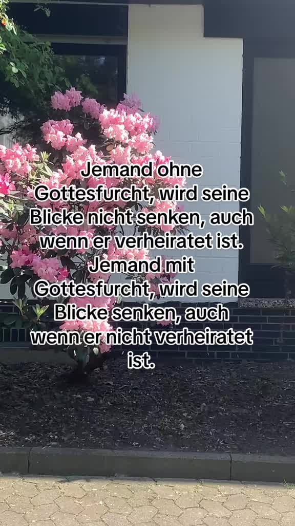@✨Semra✨