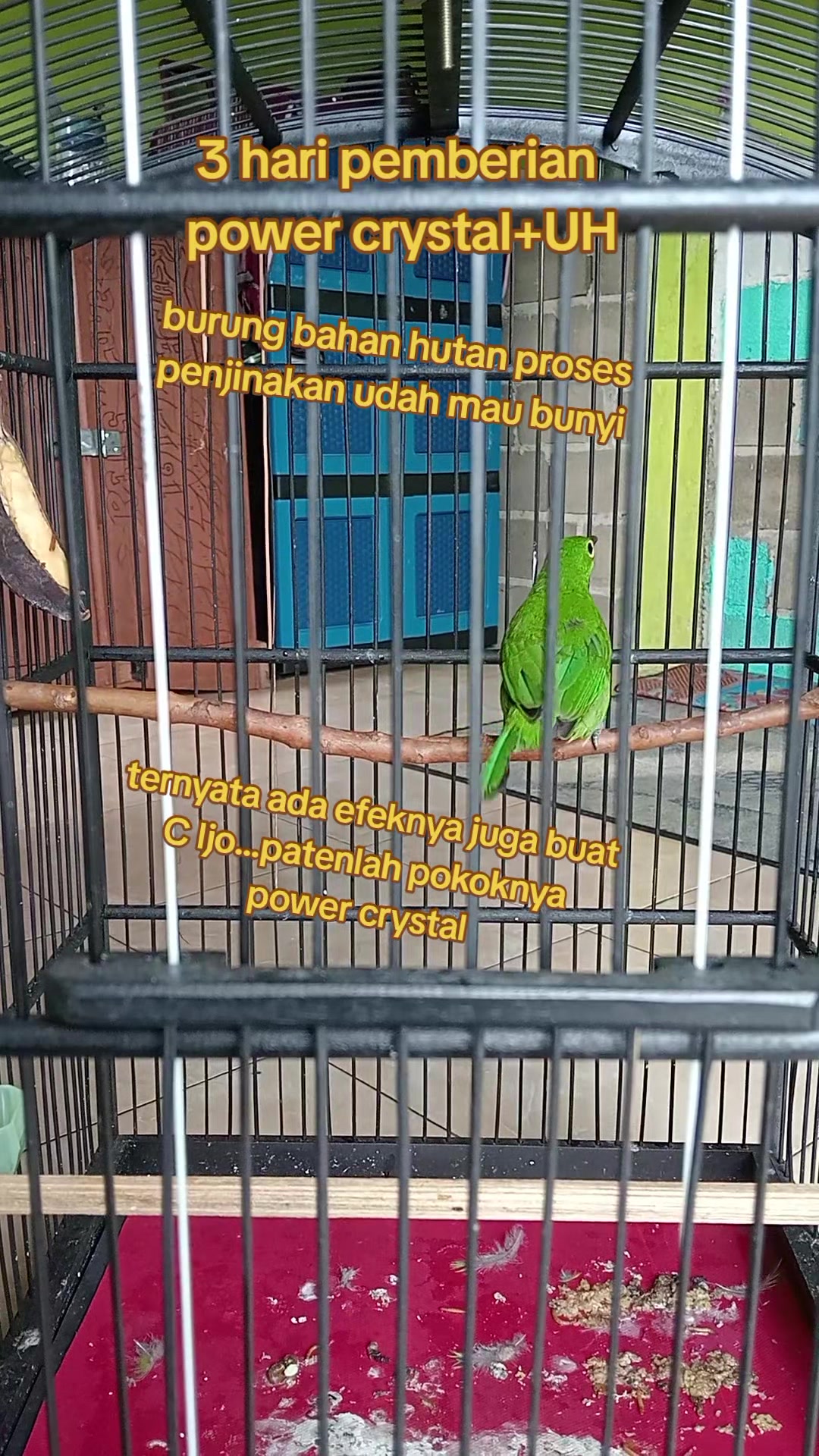 @dunia ternak