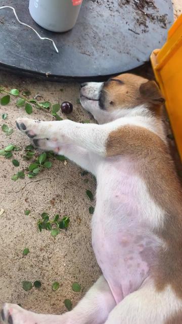 @Tiến Gò công