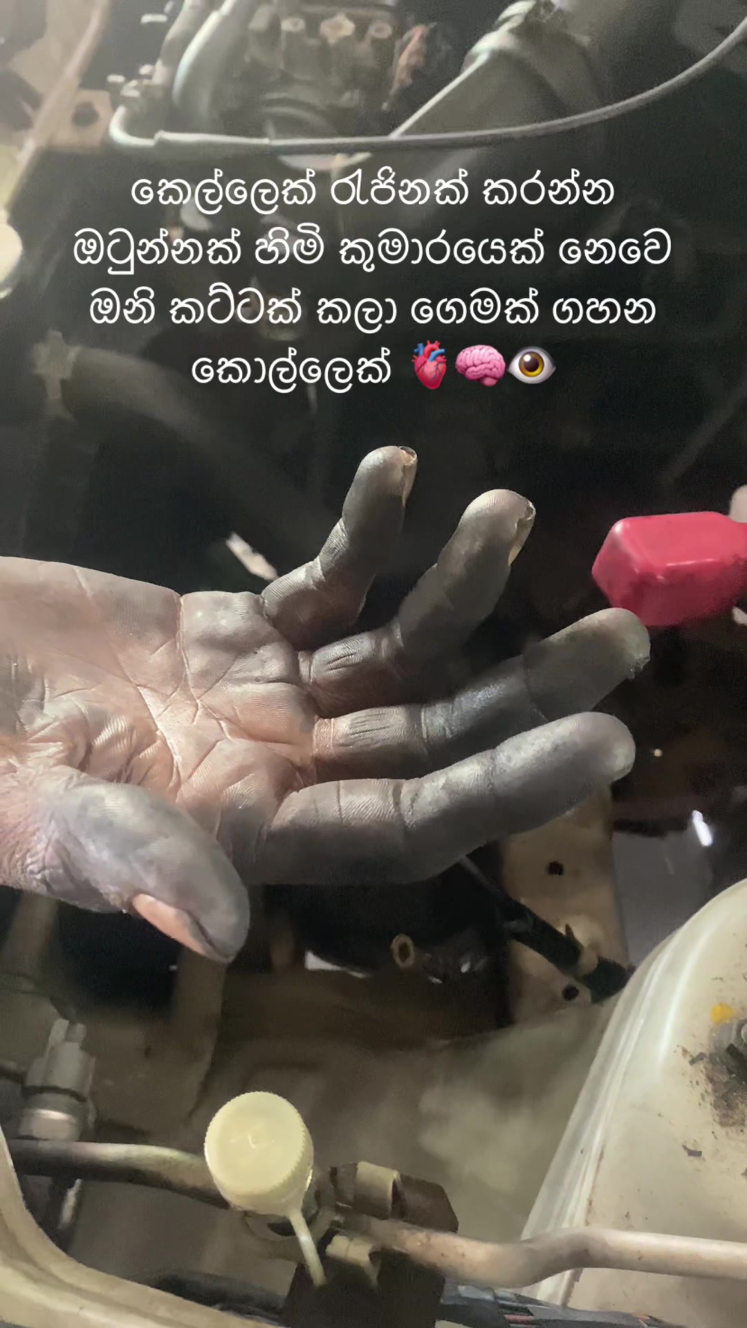 @අනූ • මෙලා