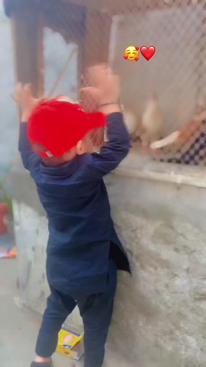 @💎عدنان⚜️(Dani)