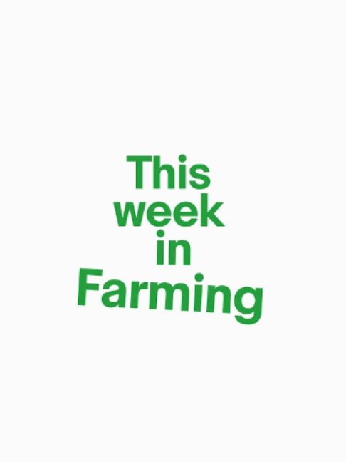 @Young Farmer