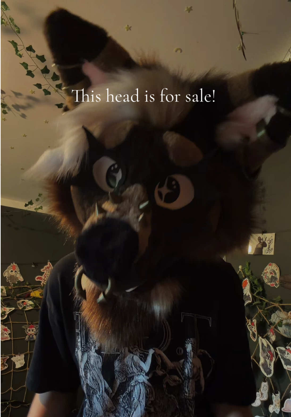 @꧁༺ 𝓥𝓮𝓰𝓪𝓼 ༻꧂