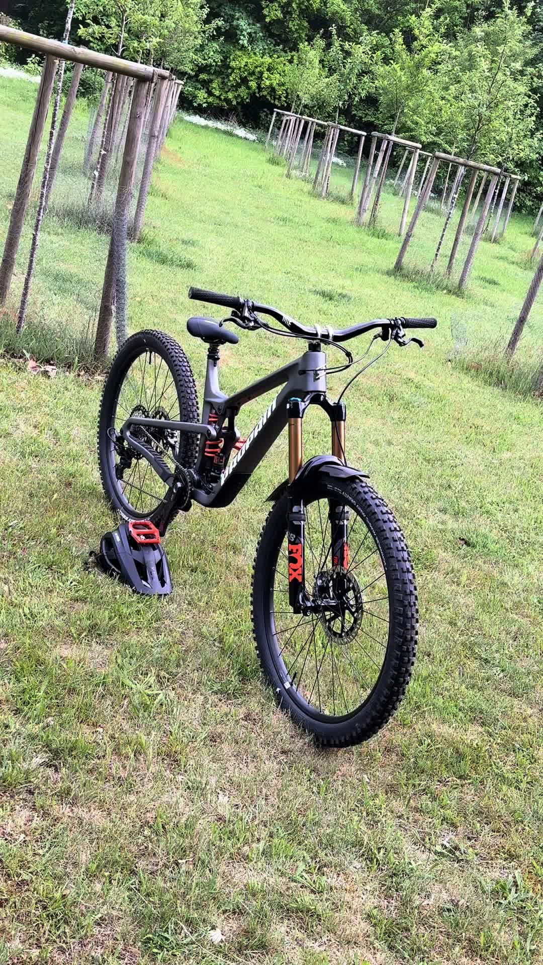 @Wojtek der Bär 🐻🇵🇱