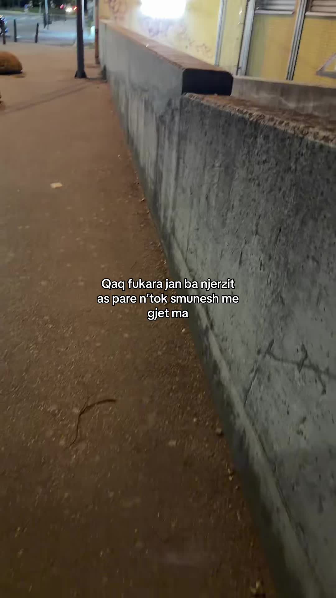 @𝐌𝐎𝐍𝐃𝐈