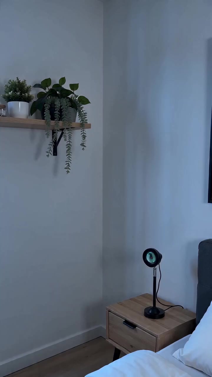 @chapischapis