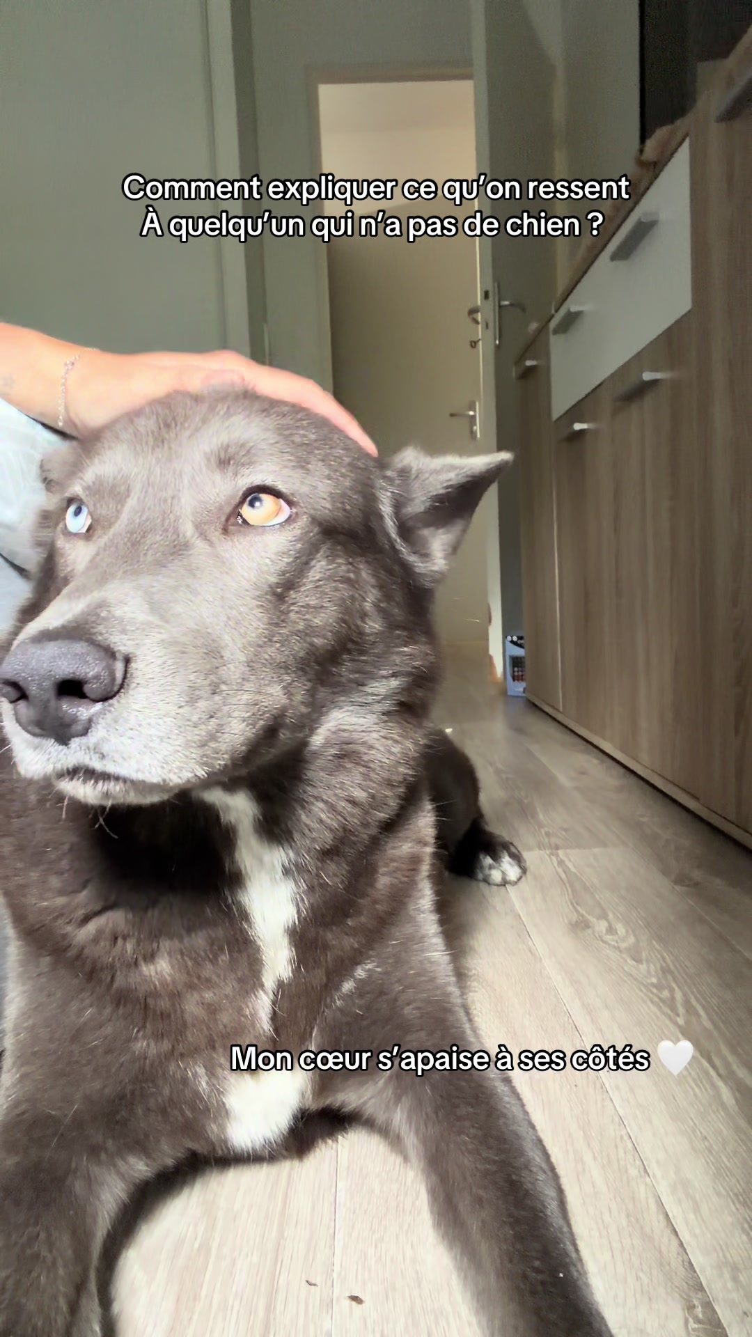 @Laura & Baldr  ✨🐺