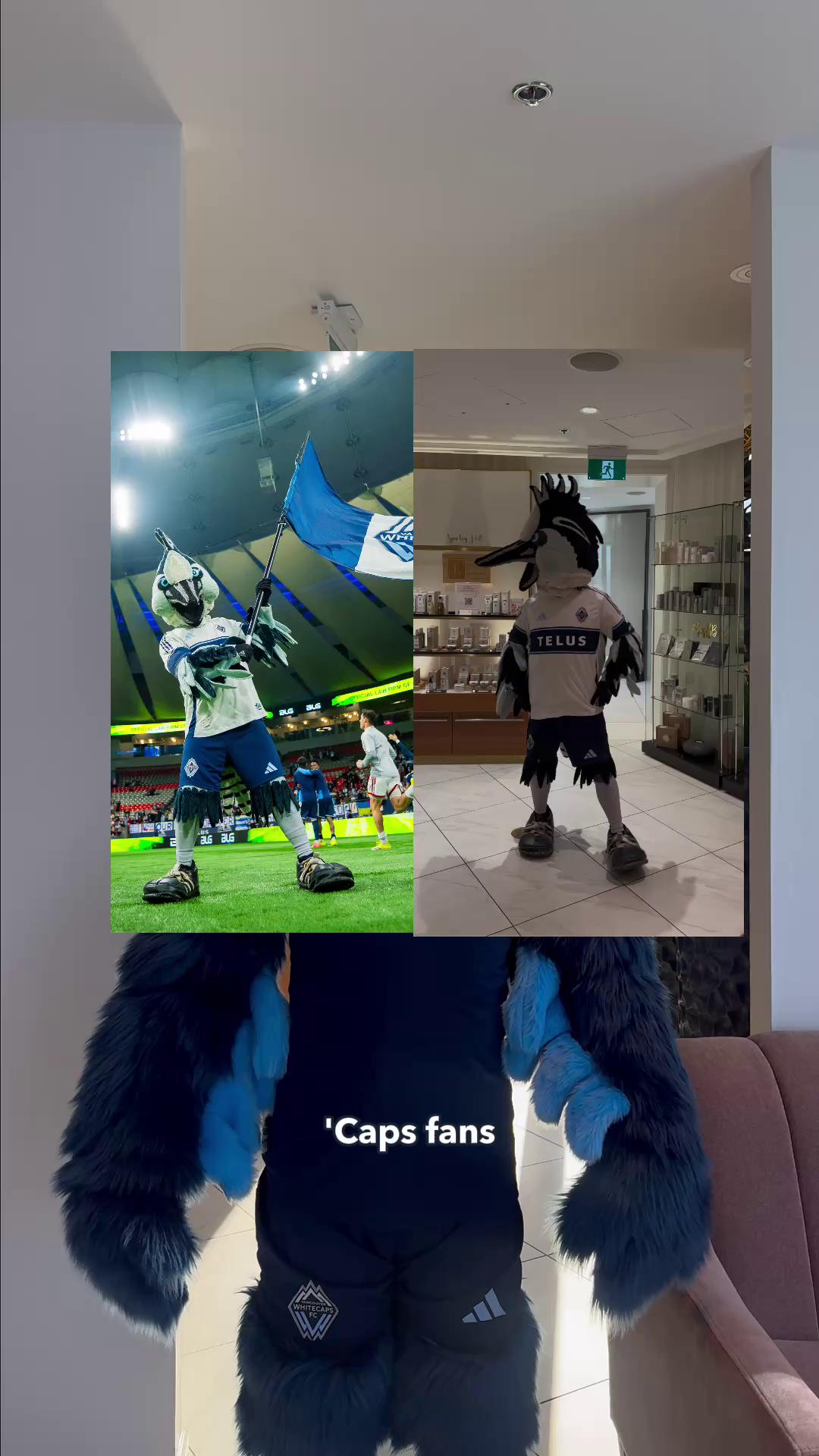 @whitecapsfc