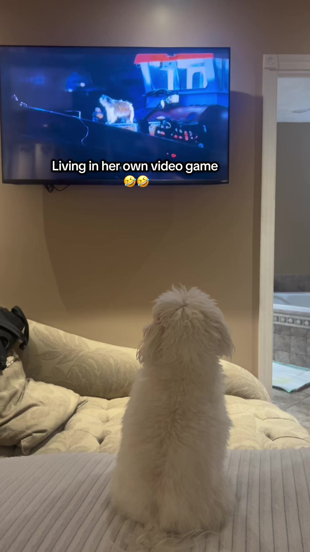 @Life with Leia