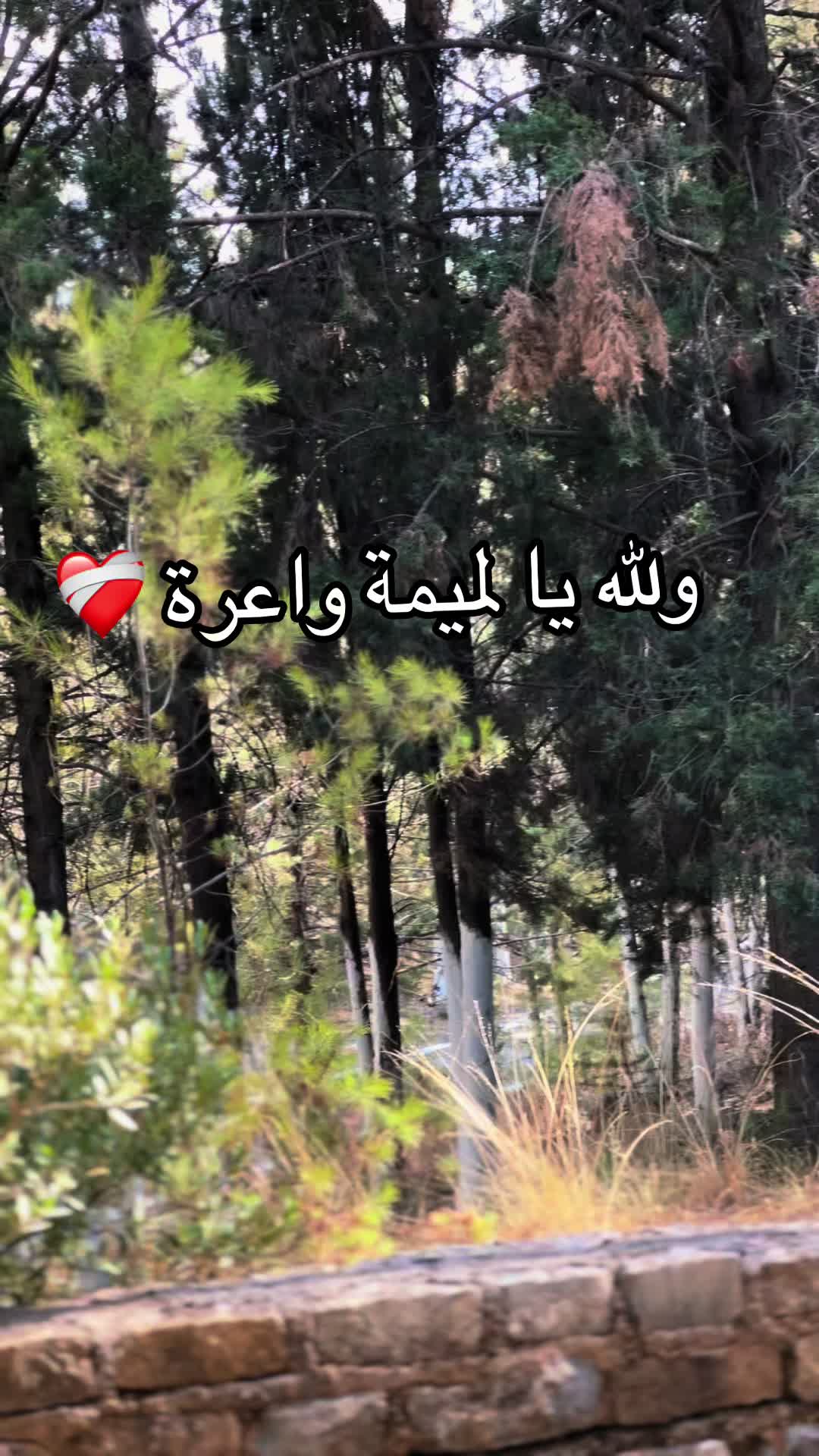 @Sallmane